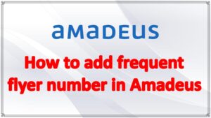 How to add frequent flyer number in Amadeus
