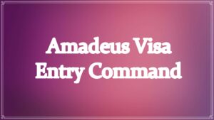 Amadeus Visa Entry Command